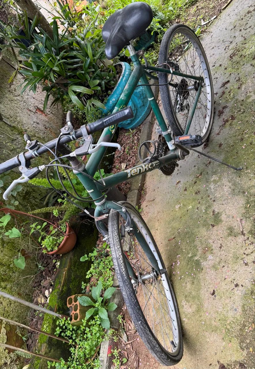Bicicleta Tenko