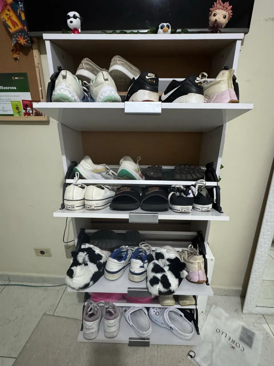 Sapateira - Foto 3