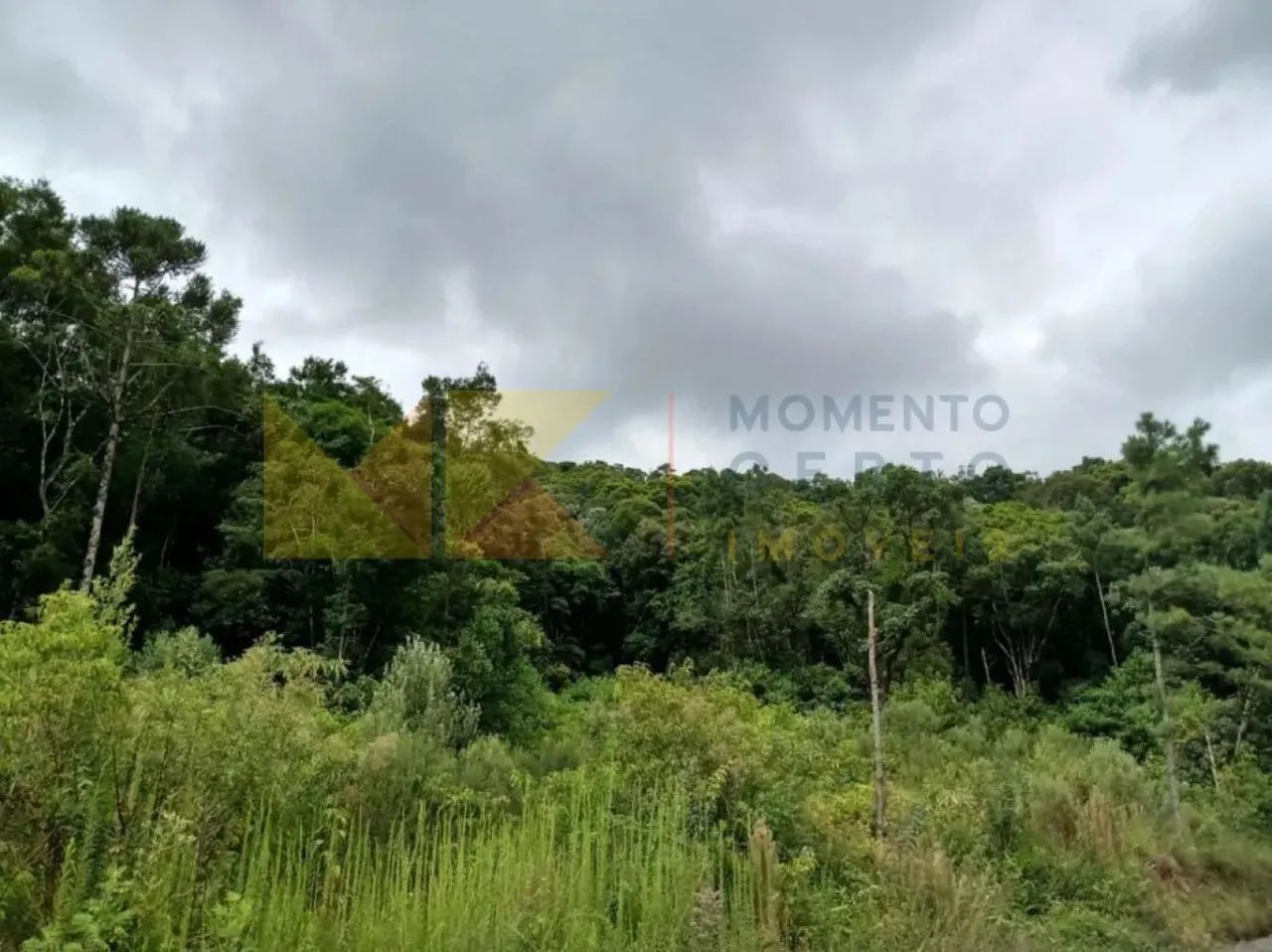 Sitio em Rio dos Cedros a venda - Foto 3
