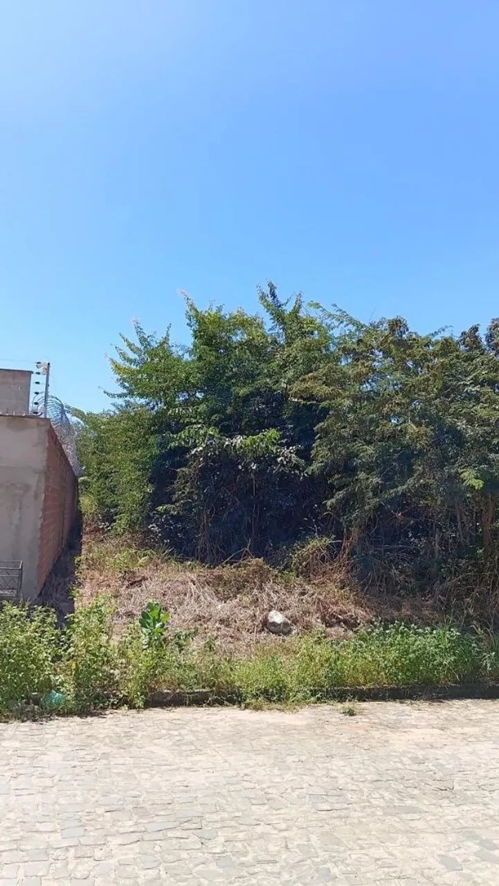 Terrenos - Foto 2