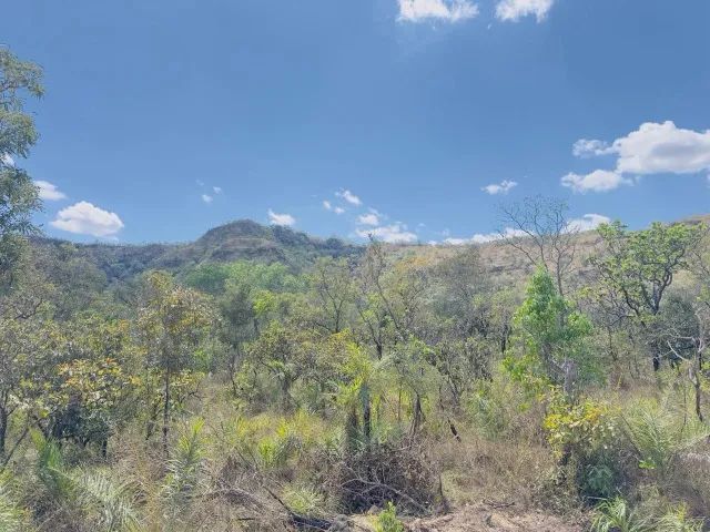 Vendo chácara 50 hectares  - Foto 3