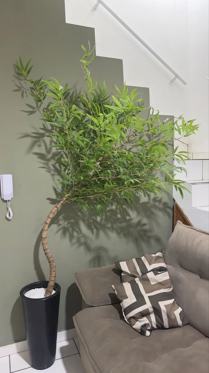 Árvore bambu artificial 