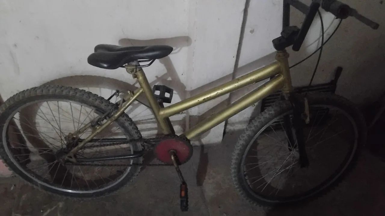 Bicicleta  - Foto 2