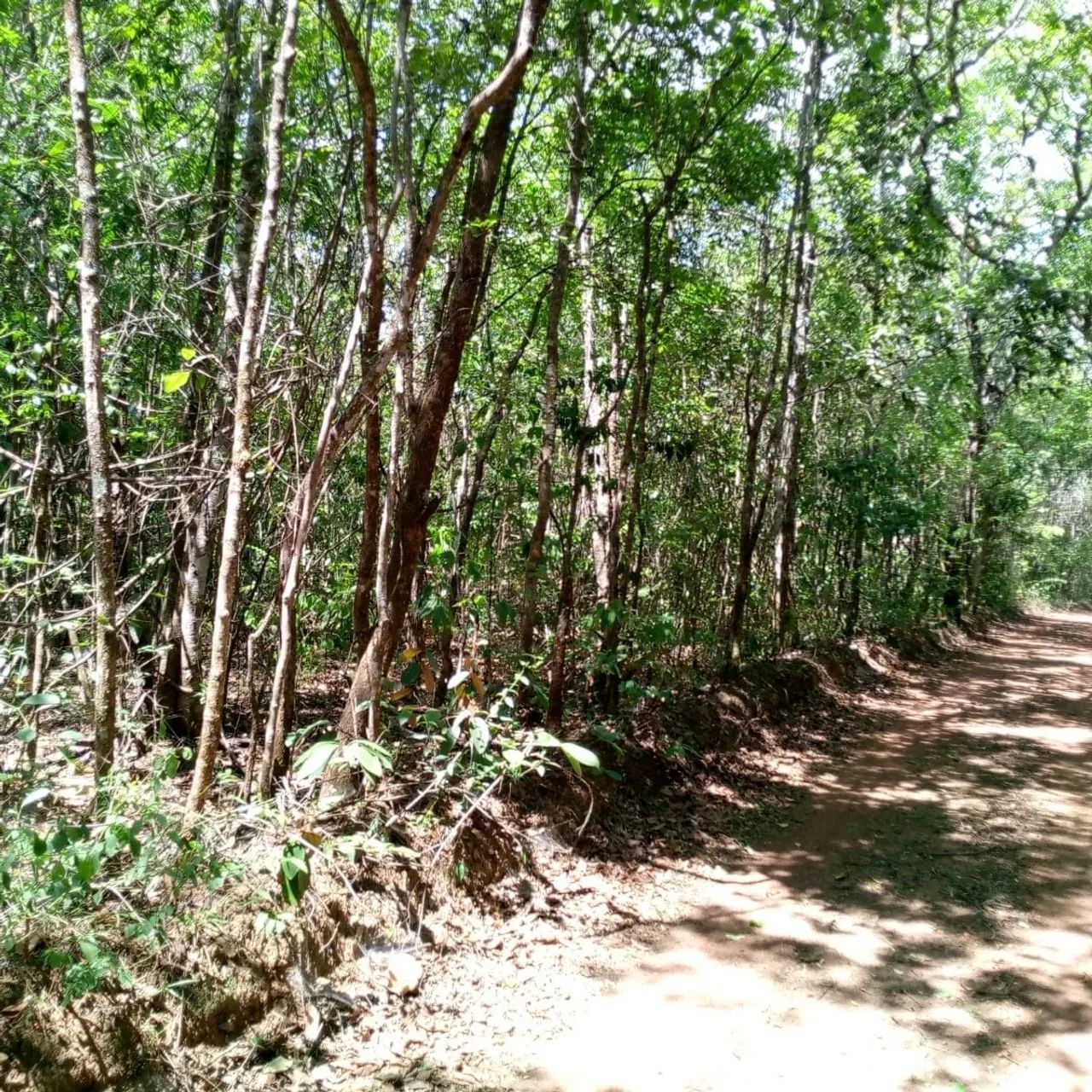 Foto - Anápolis - Vila Operária