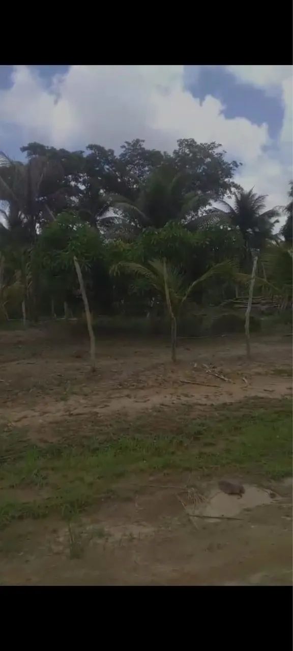 propriedade Rural - Foto 4