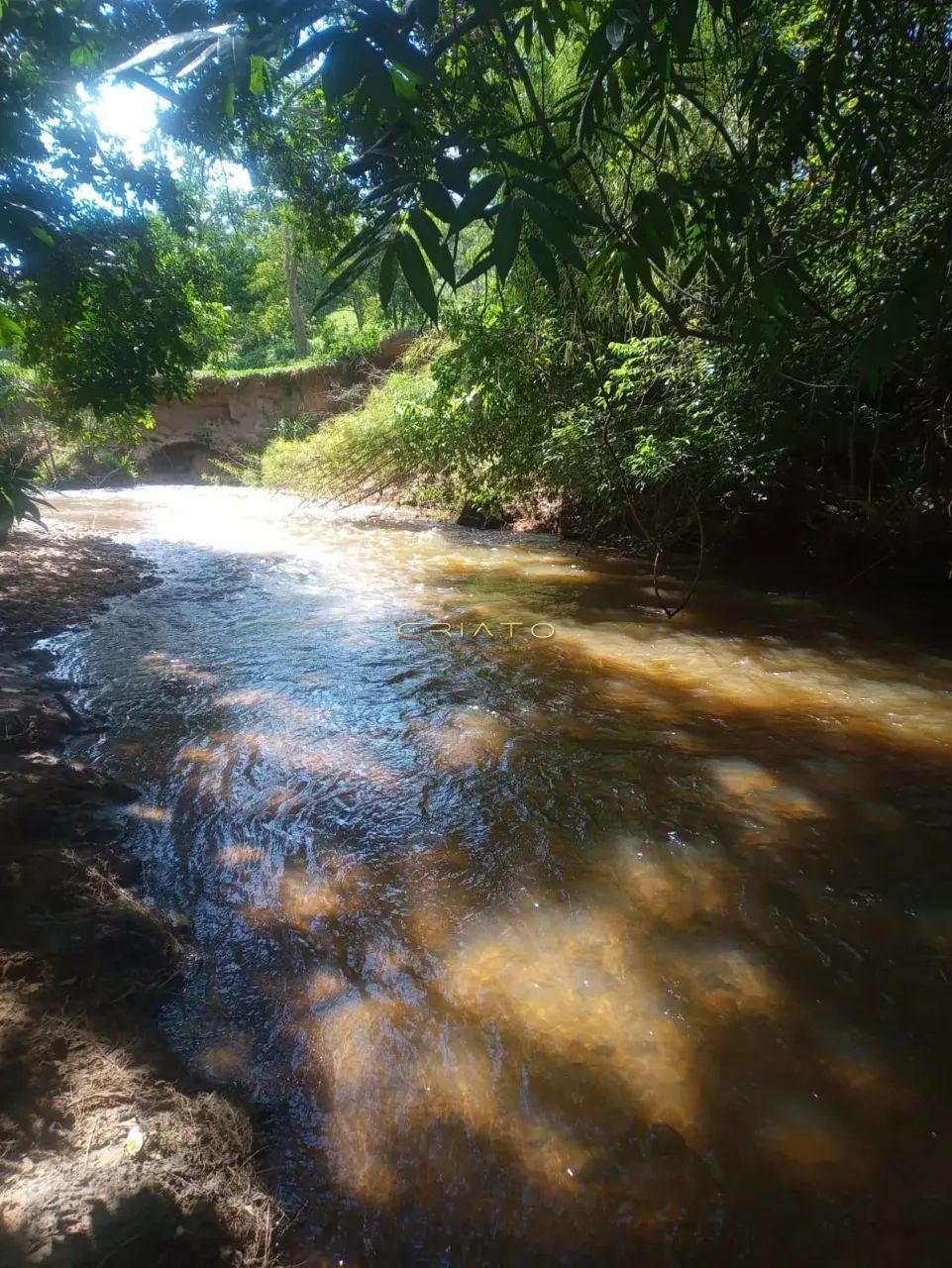Chácara Com Rio nos Fundos a Venda - Foto 5