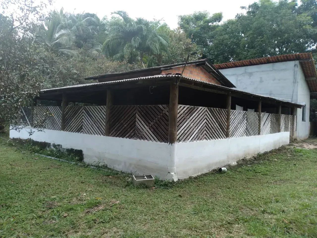 Sítio em Terra Alta - Foto 5