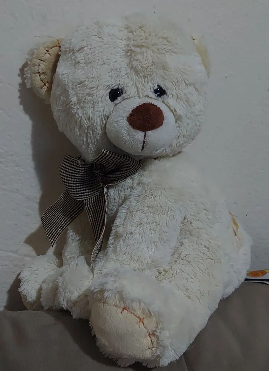Ursinho de Pelúcia 