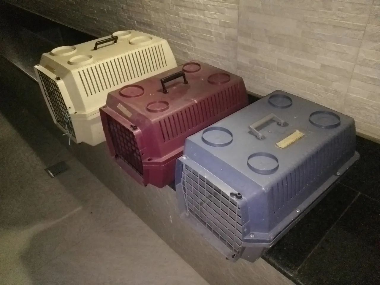 3 Caixas para transportar pets - Foto 2
