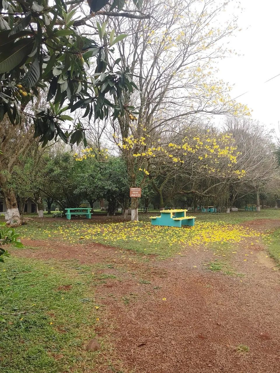 Chácaras a venda em Foz do Iguaçu  - Foto 4