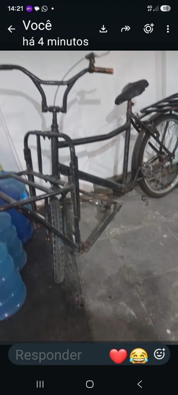 Bicicleta cargueira
