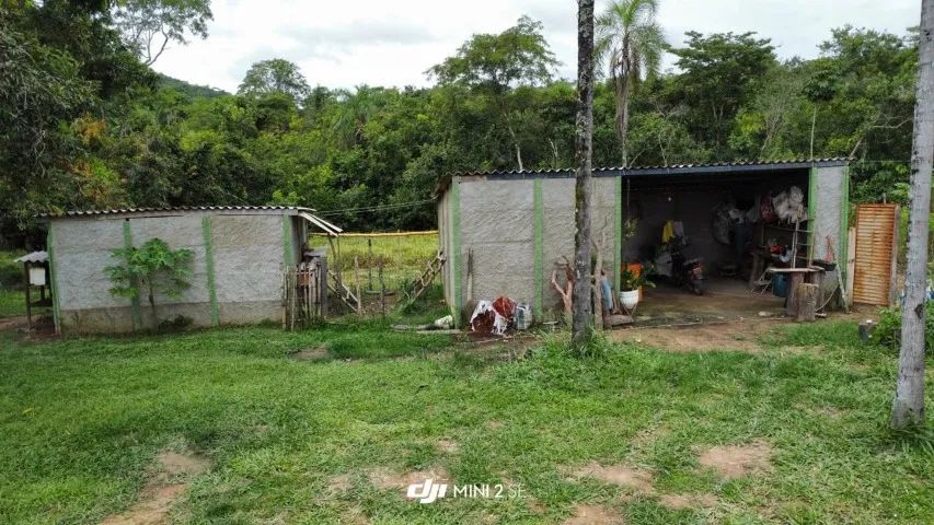 fazenda em Silvania GO com 140 hectares  - Foto 5
