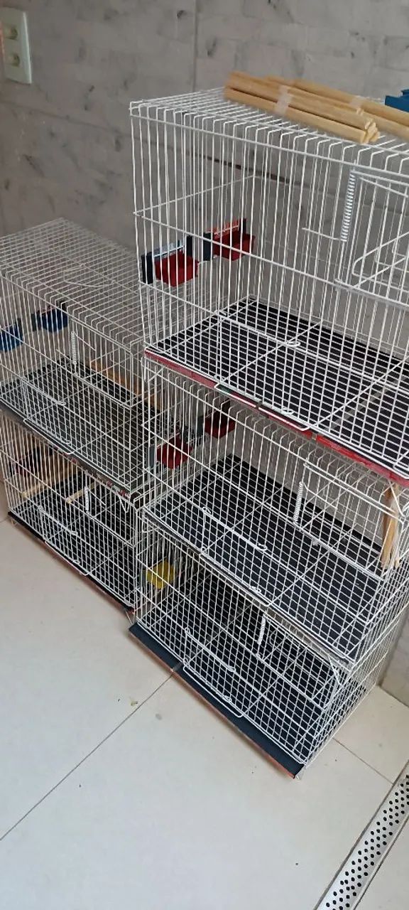 Gaiola nova  - Foto 3