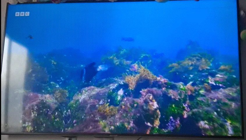 TV SAMSUNG 65 POLEGADAS COM DEFEITO
