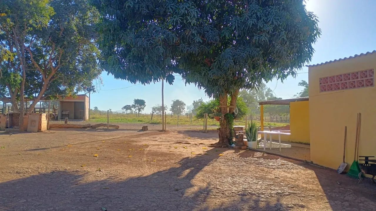 Chácara - 5 Hectares - Foto 2