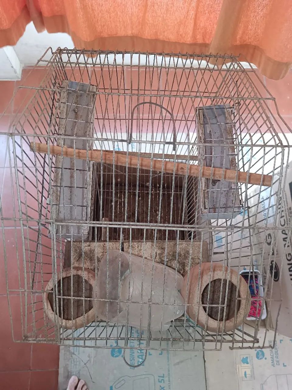 Gaiola de aço com 4 cocheiras de ração , 4 cocheiras de água e biombo de reprodução. - Foto 3