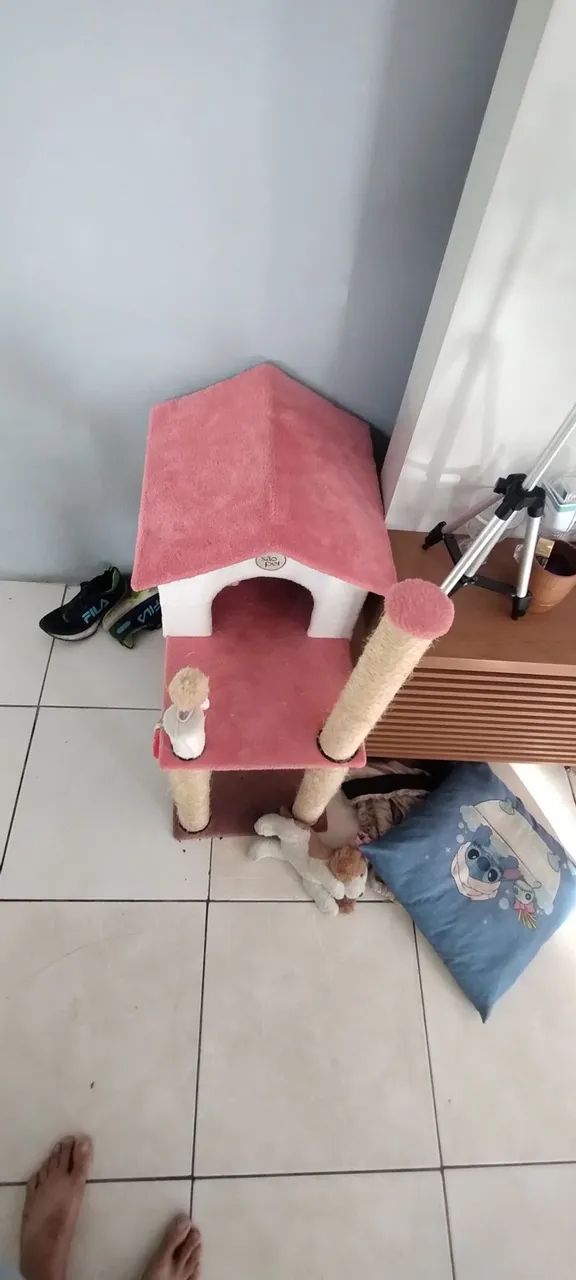 Casa de gato. 