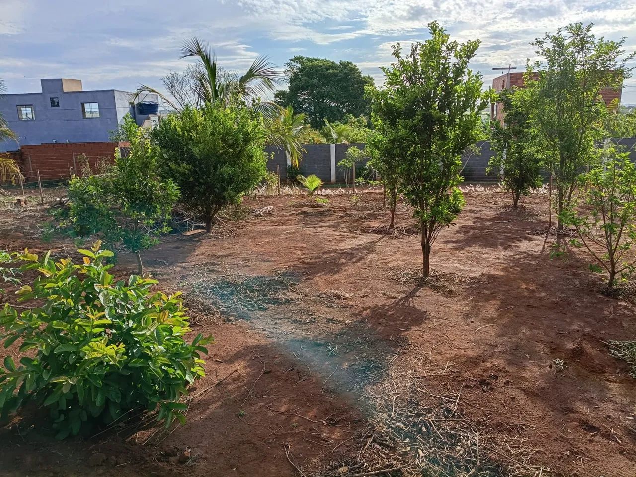  Oportunidade Chácara próximo de Uberlândia  - Foto 4