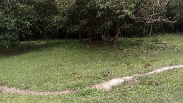 Fazenda 10 km da cidade Cuiaba - pedra 90 - Foto 13