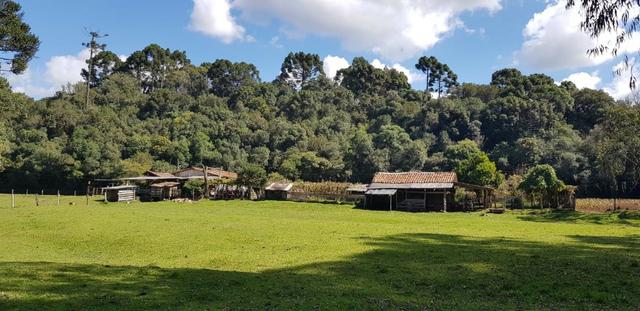 Terreno em Urubici - Foto 4