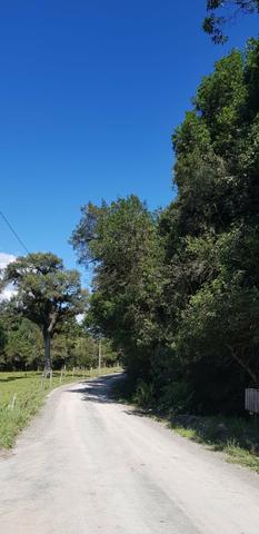 Terreno em Urubici - Foto 2
