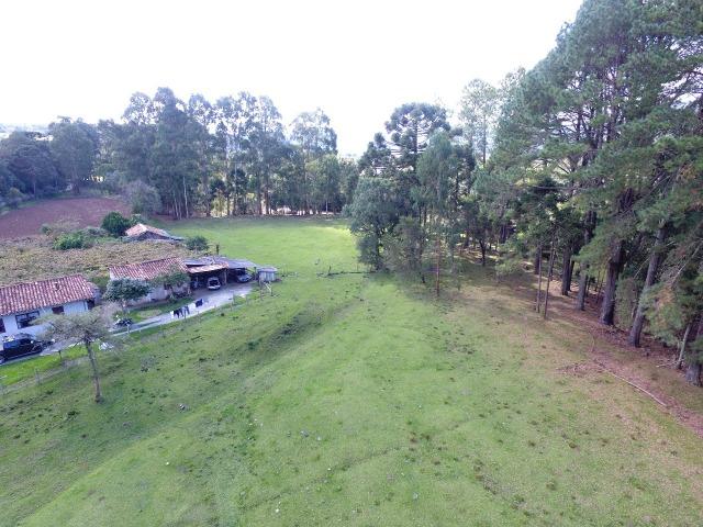 Terreno em Urubici - Foto 15