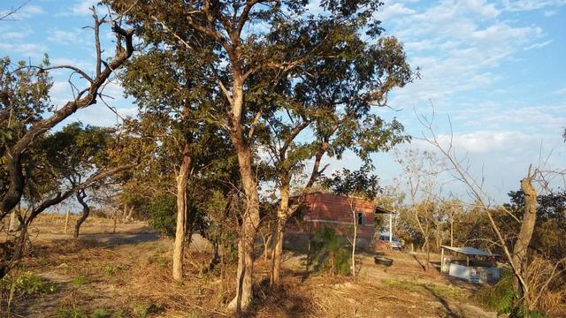 Vendo/Troco chacara na estrada de chapada, R$ 135.000,00 (Pego carro e casa) - Foto 5