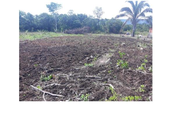 42 hectares, aceito camioneta, capão verde, terra preta,culturão, ocasião - Foto 4
