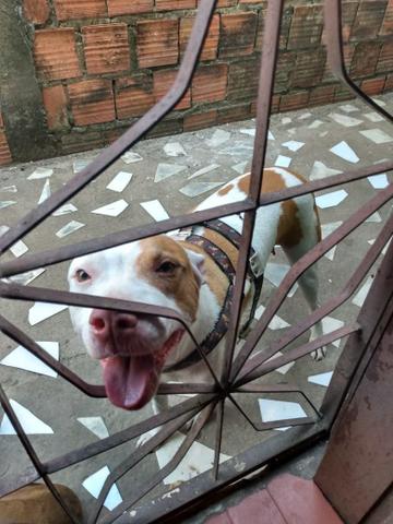 Disponível pra cruzar