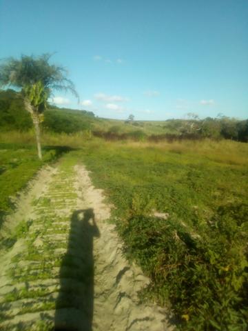 Vendo terreno aqui em São Sebastião Alagoas - Foto 11