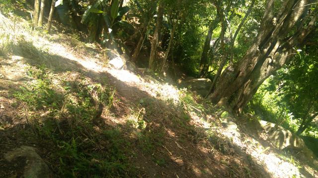 Terreno - Foto 5