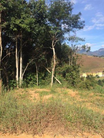 Terreno residencial à venda, Prata, Teresópolis. - Foto 10