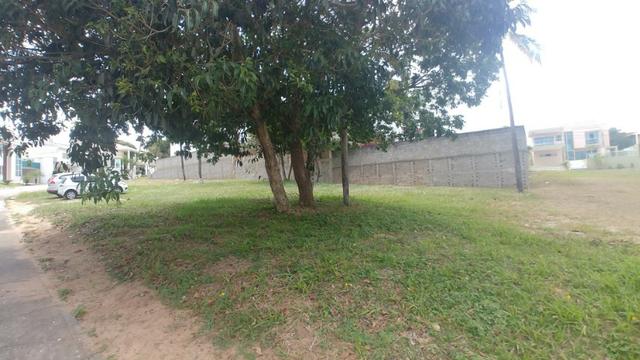 Terreno bosque das Palmeiras 300mt - Foto 10