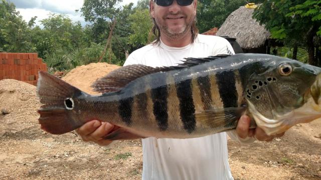 Fazenda beira do lago a melhor da região - Foto 11
