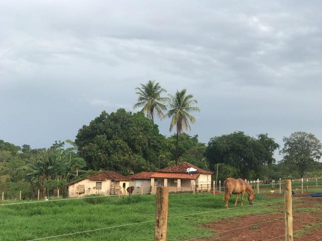 Fazenda plana e rica em água, 24 Alqueires (116.16 ha ) Bela Vista de Goias - Foto 18