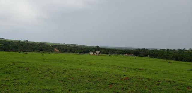 300 Alqs 200 Em Pasto Excelente Fazenda Paraúna GO - Foto 8