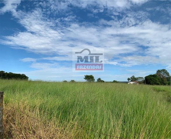 Fazenda 30 alqueires ( 145,20 ha ) Guapó-GO soja e pecuária - Foto 10