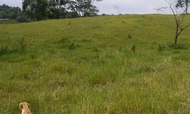 Belíssima fazenda em Cachoeiras de Macacu oportunidade!!!! - Foto 12