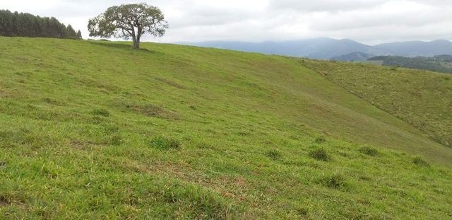 Vendo Sitio em Pouso Alto - MG - Foto 2