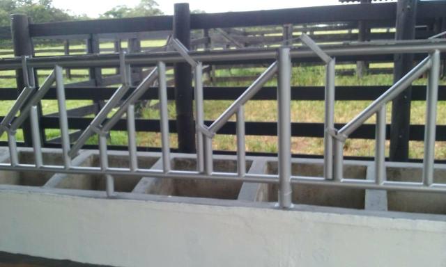 A fazenda do seu sonhos - Foto 5