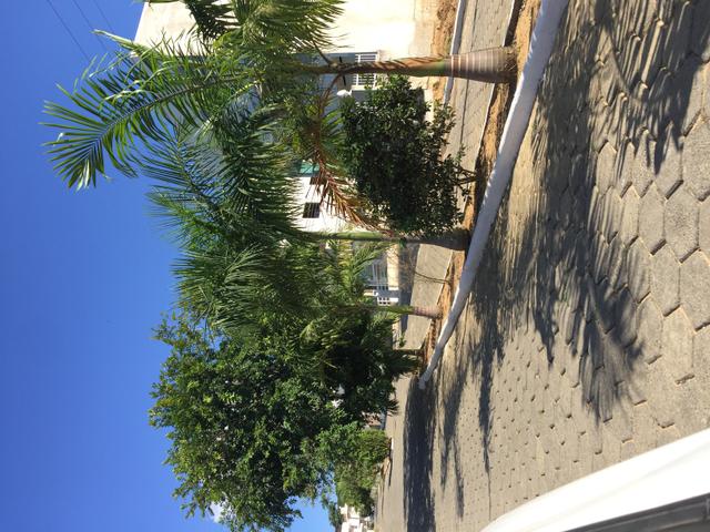 Lote, terreno - Foto 3