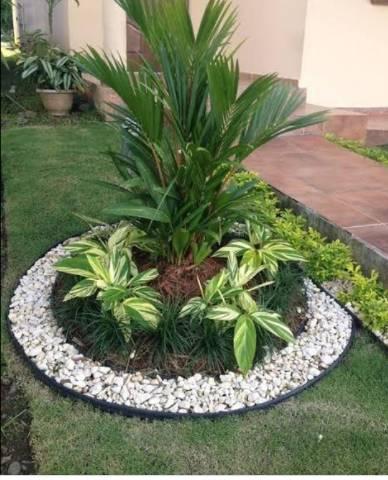 JARDINAGEM TOP - Foto 4