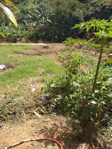Vendo ou troca sítio santa Maria Jetibá - Foto 18