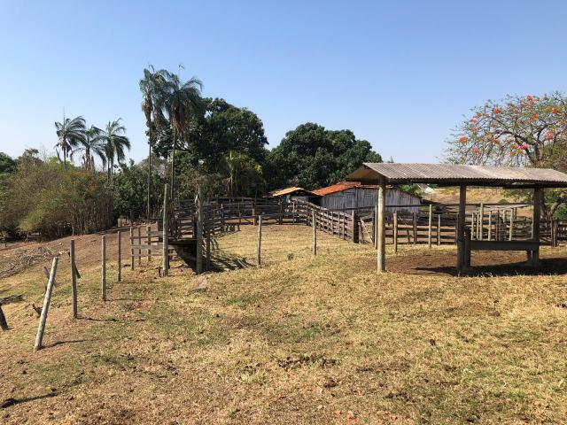 Fazenda a venda em Piracanjuba de 20 alqueires para Pecuária e lavoura - Foto 14