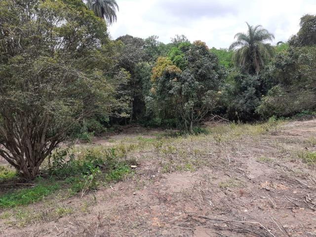 Chácara de 2000 mts água corrente e pagto facilitado - Foto 3