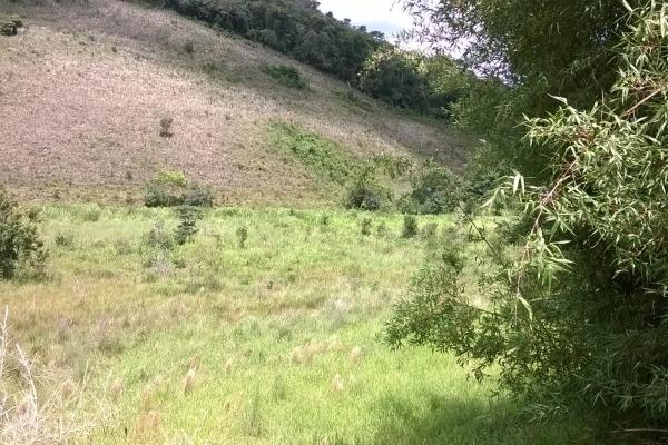 Vendo- Sítio no Sul de Minas com 26 hectares!! - Foto 12