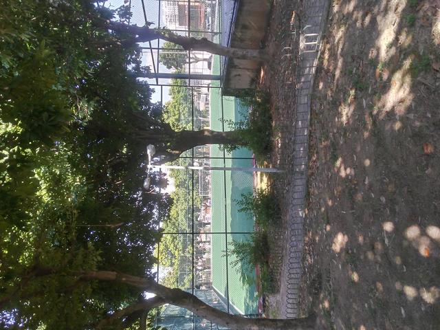 Casa de Vila - Foto 15