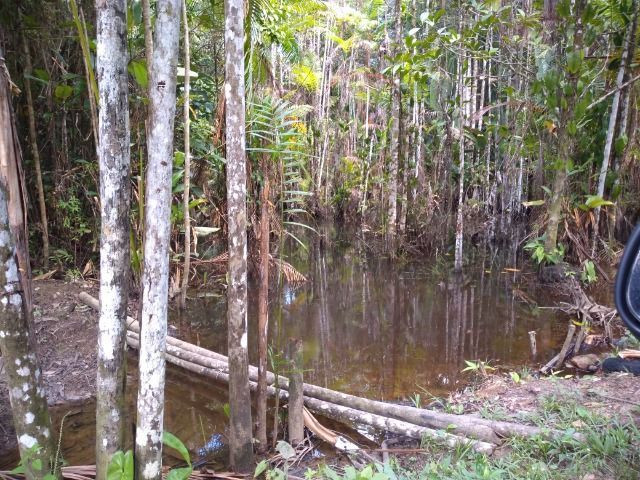 50 hectares na estrada de igarapé açu por 170 mil reais documentada - Foto 11