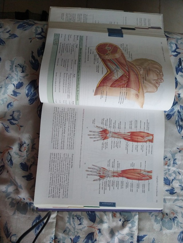 Anatomia Humana - Van de Graaff - Foto 3