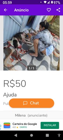 Bom dia cidadãos de bem - Cachorros e acessórios - Castanheira, Belém 1124221238 | OLX Bom dia cidadãos de bem - Cachorros e acessórios - Castanheira, Belém 1124221238 | OLX